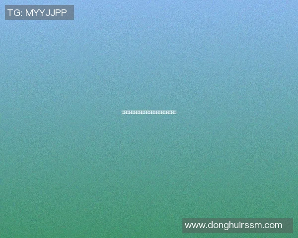 张店地区篮球明星盘点及其成就分析与影响力探讨